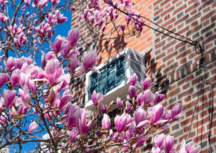 Il periodo migliore per installare un condizionatore