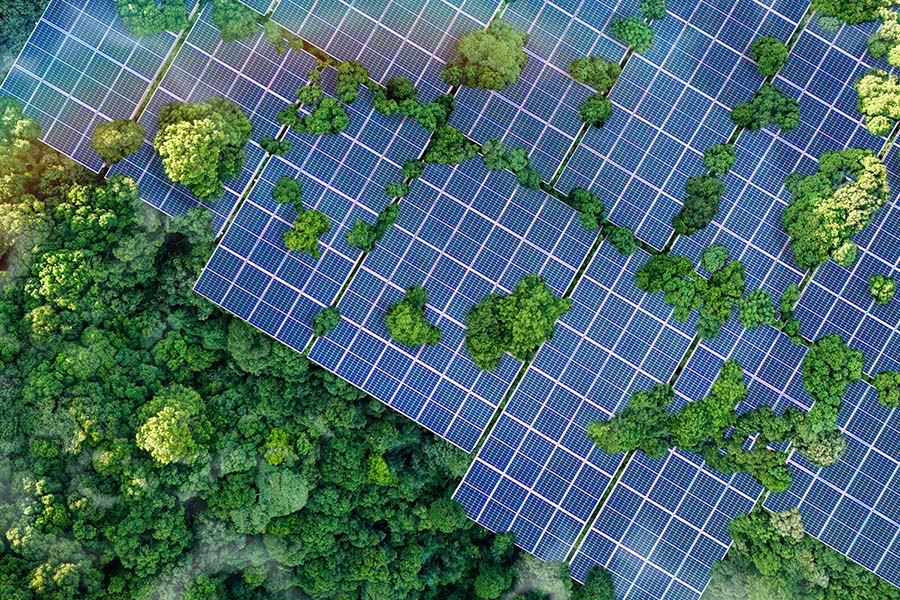Pannelli fotovoltaici per un futuro più green